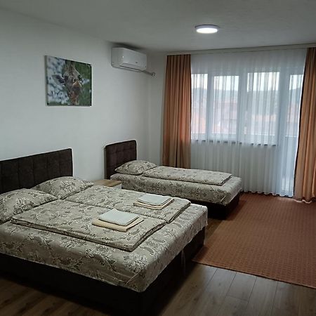 Apartmani Centar Sjenica Extérieur photo