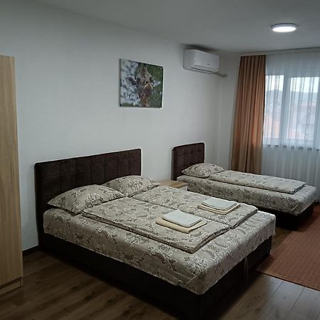 Apartmani Centar Sjenica Extérieur photo