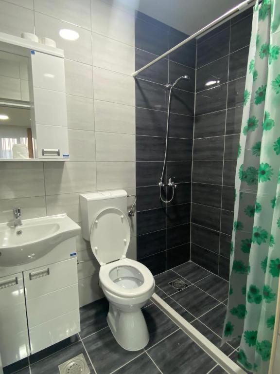 Apartmani Centar Sjenica Extérieur photo