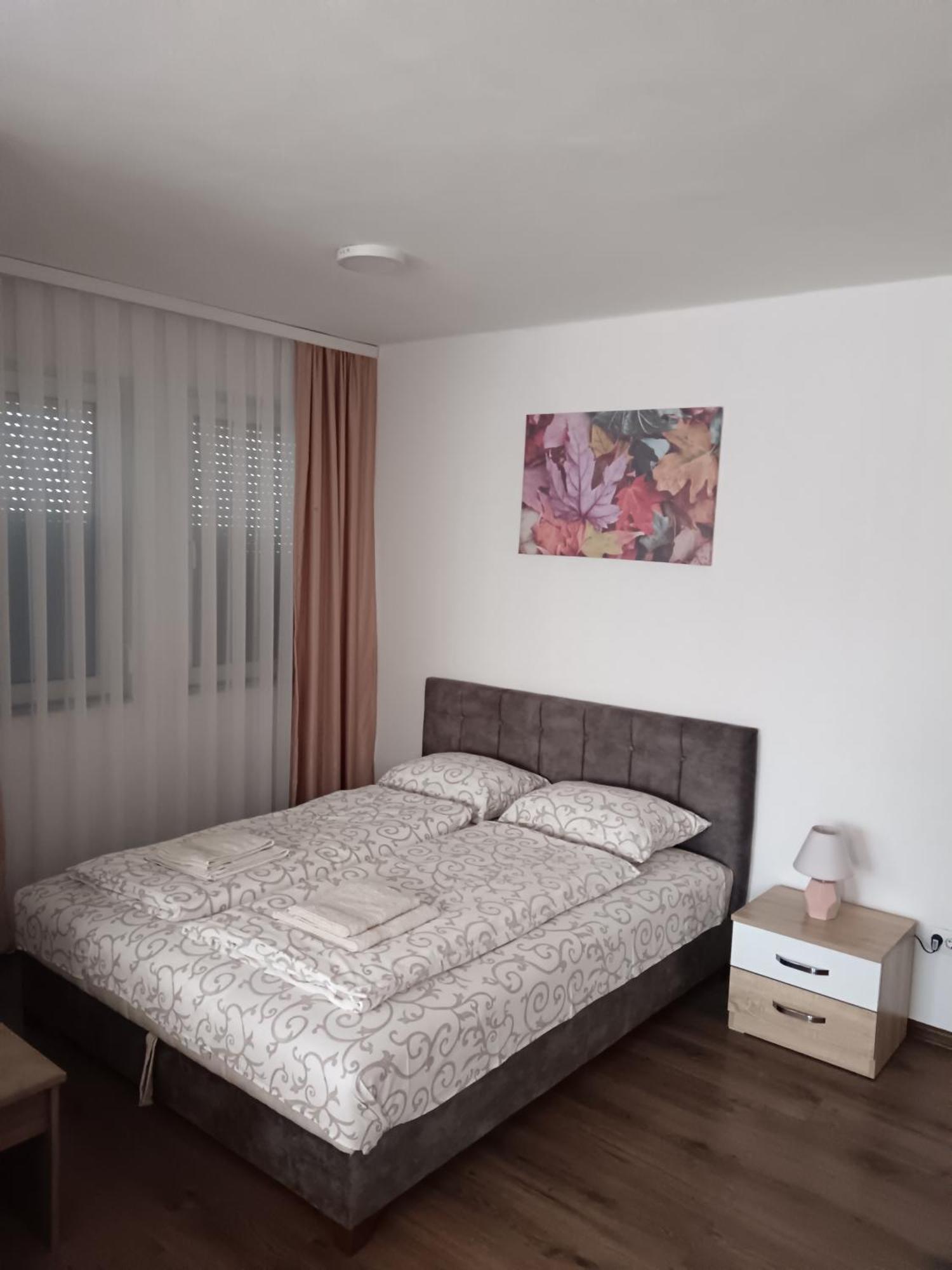 Apartmani Centar Sjenica Extérieur photo